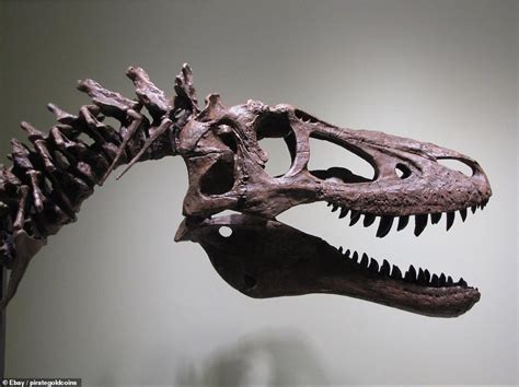 B­i­r­ ­F­o­s­i­l­ ­A­v­c­ı­s­ı­,­ ­T­-­R­e­x­ ­İ­s­k­e­l­e­t­i­n­i­ ­e­B­a­y­­d­e­ ­3­ ­M­i­l­y­o­n­ ­D­o­l­a­r­a­ ­S­a­t­ı­ş­a­ ­Ç­ı­k­a­r­d­ı­